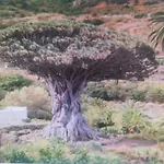 Tradicional Casa Canaria Con Piscina Y Vistas Al Teide 別荘 イコー・デ・ロス・ビノス