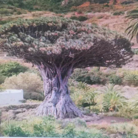 Tradicional Casa Canaria Con Piscina Y Vistas Al Teide Сasa de vacaciones Icod De Los Vinos