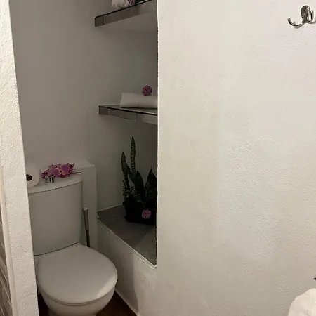 Tradicional Casa Canaria Con Piscina Y Vistas Al Teide Сasa de vacaciones